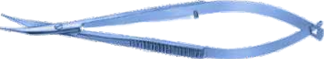 Gills Vannas Capsulotomy Scissor